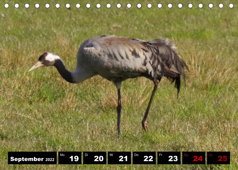 Natur Wochenkalender 2022