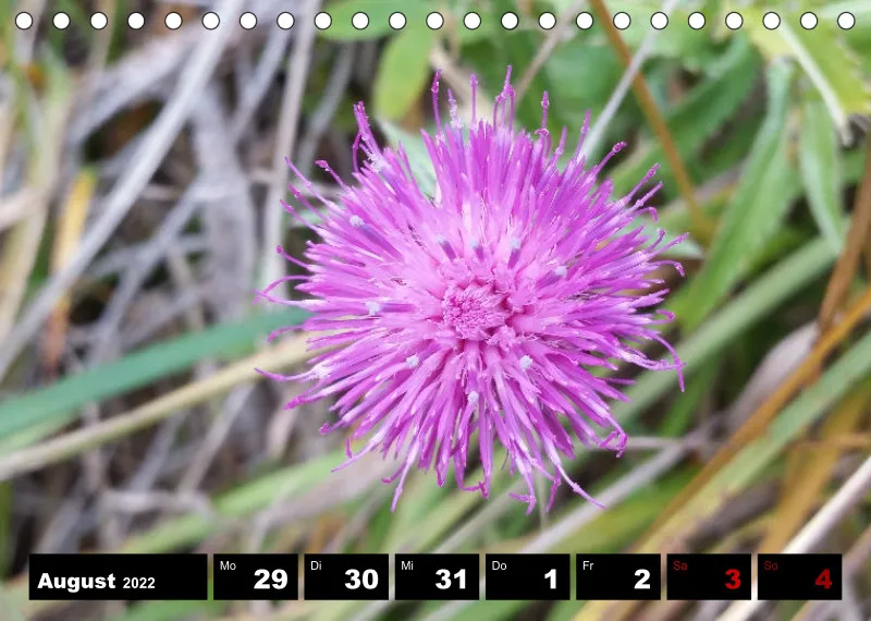 Natur Wochenkalender 2022