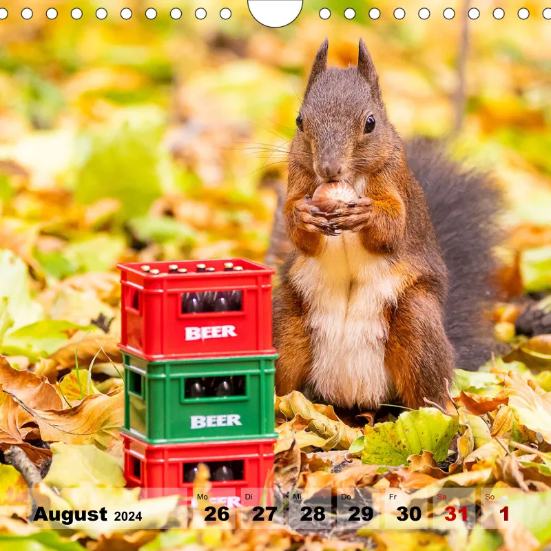 Eichhörnchen 2024
