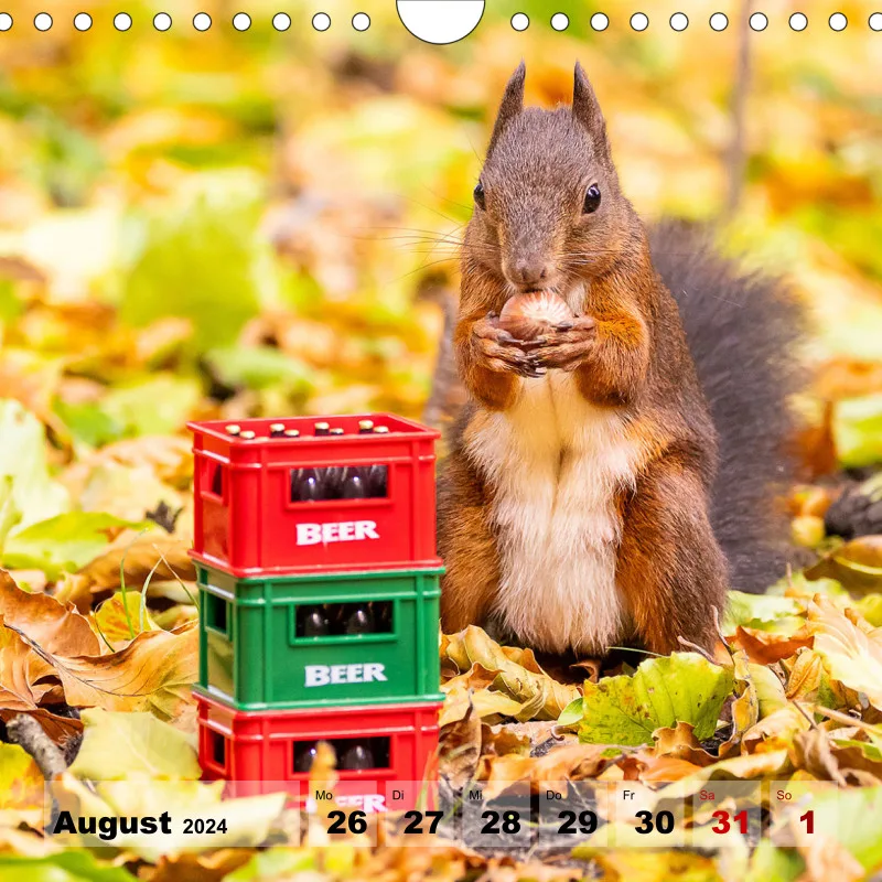 Eichhörnchen 2024