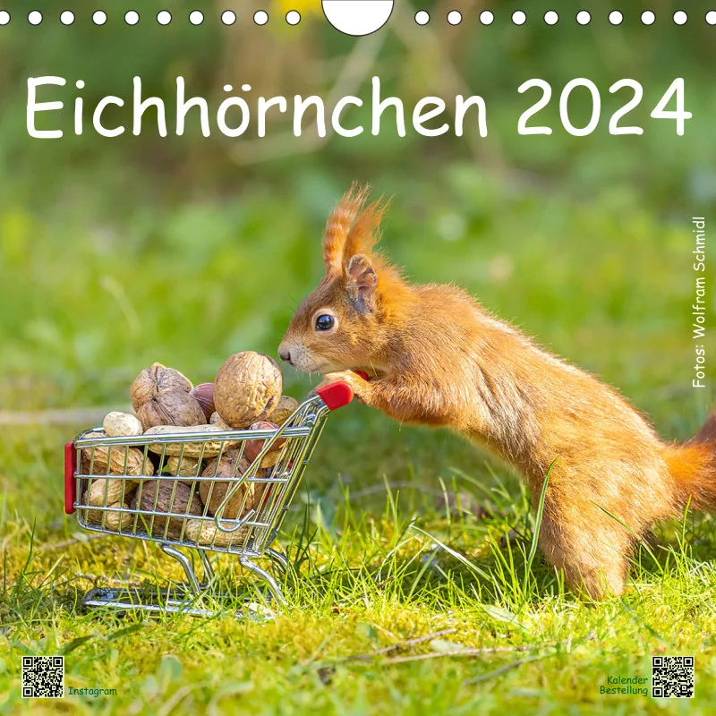 Eichhörnchen 2024