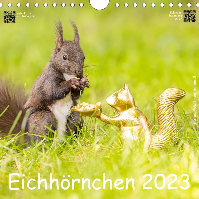 Eichhörnchen 2023