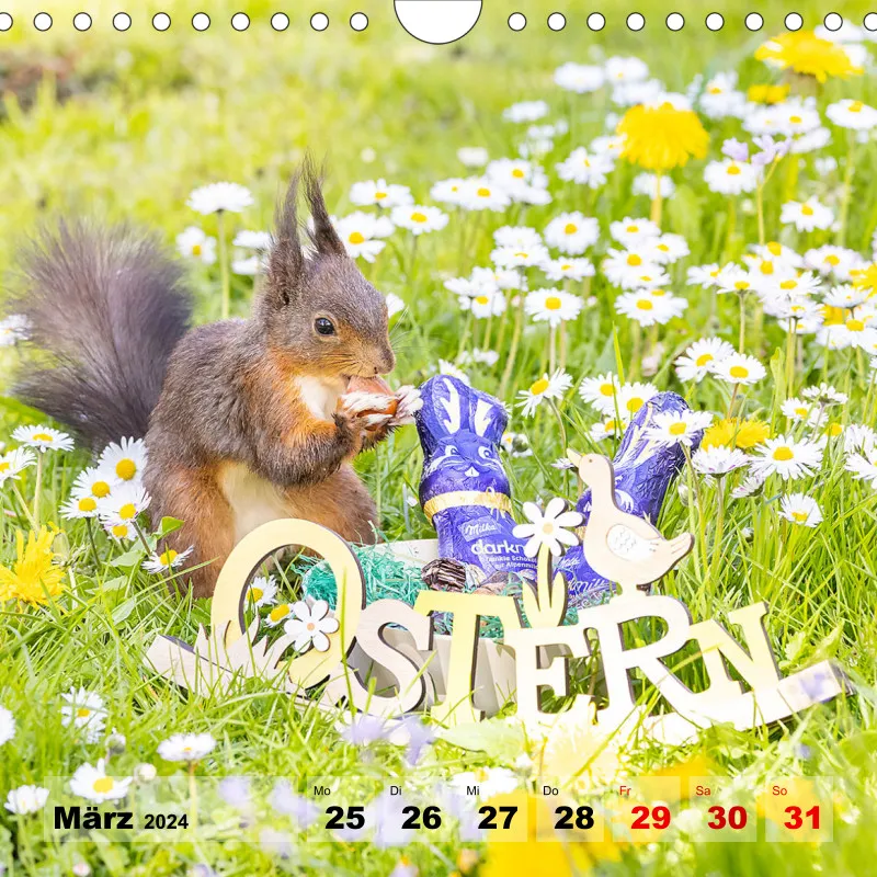 Eichhörnchen 2024