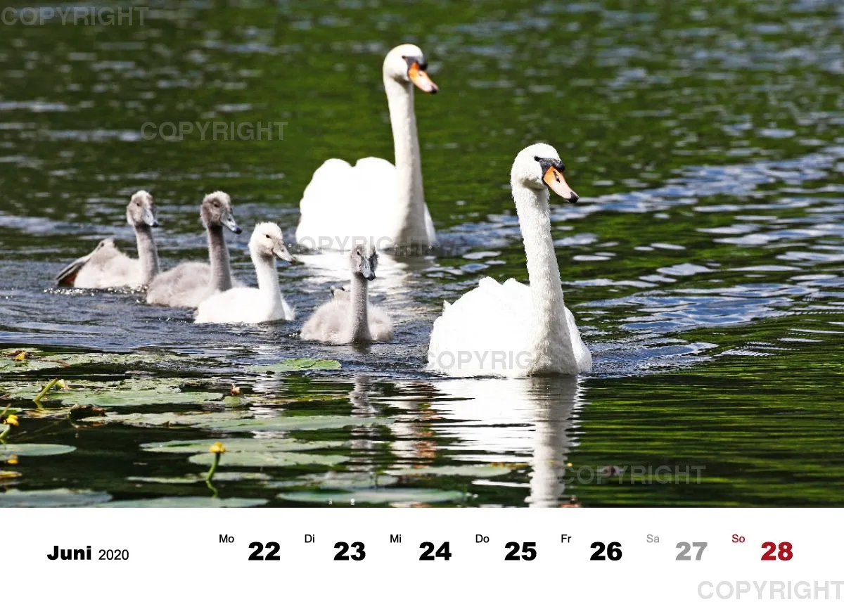 Tisch-Wochenkalender / Nr. 3