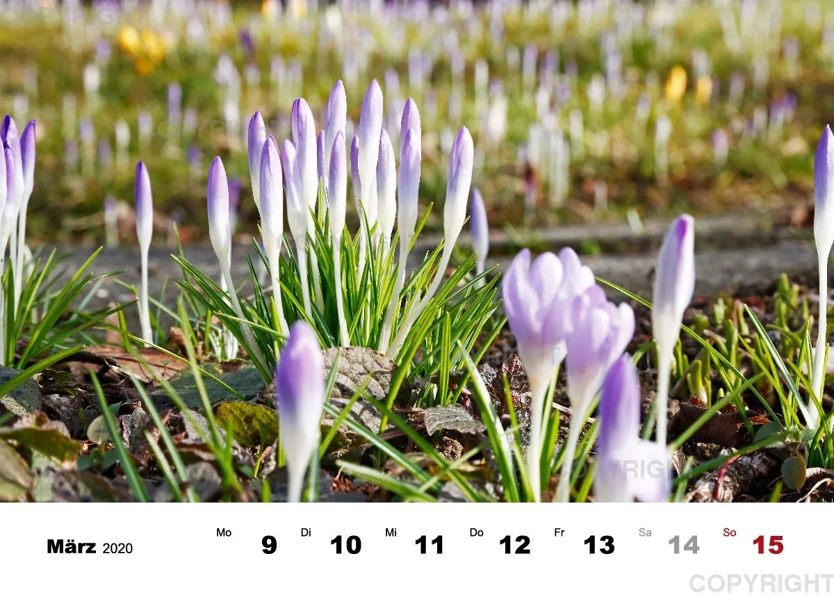 Tisch-Wochenkalender / Nr. 3