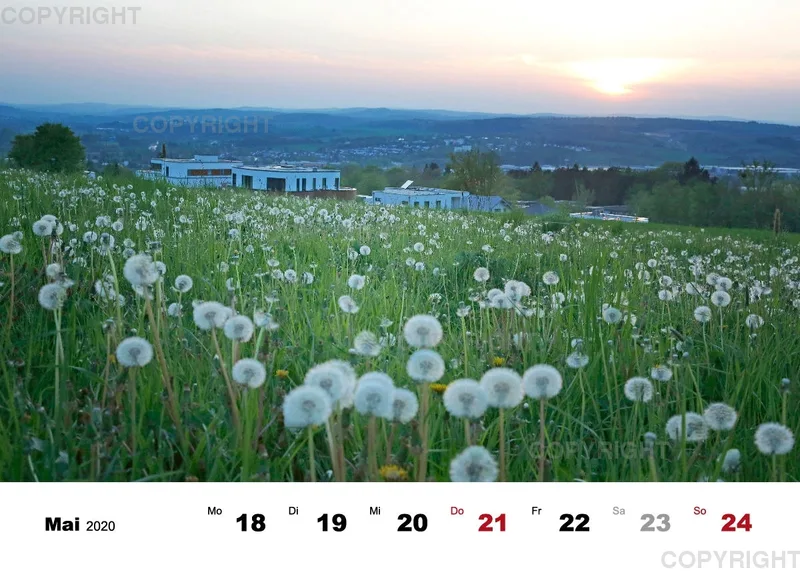Tisch-Wochenkalender / Nr. 3