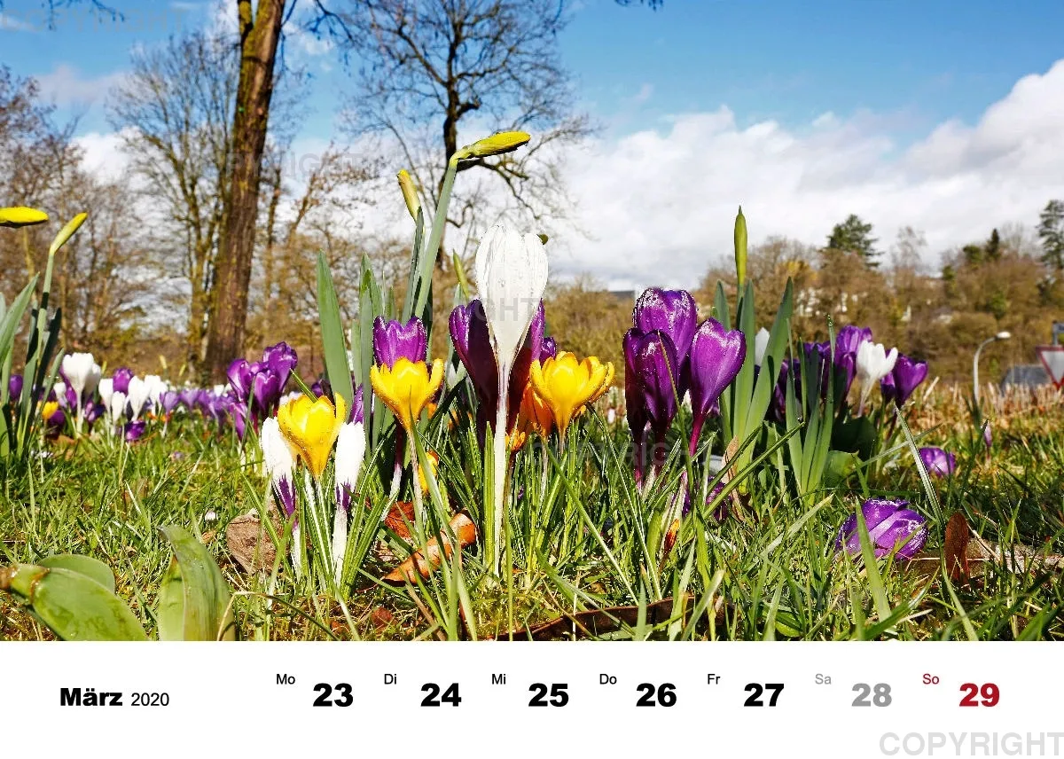 Tisch-Wochenkalender / Nr. 3
