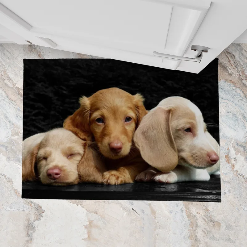 Fußmatte "Edgar, Elvira, Emil - Bunte Zwergdackel"