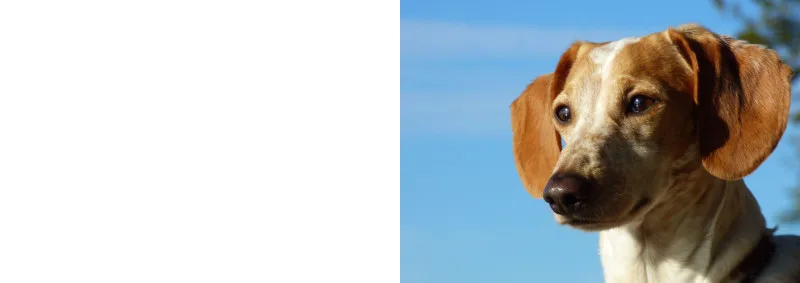 Klappkarte Hannes Himmel