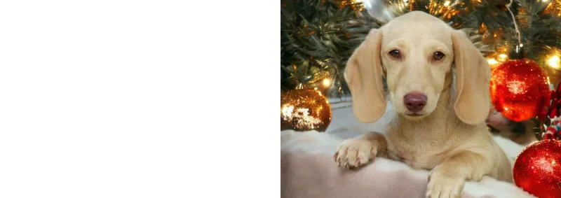 Klappkarte Weihnachten