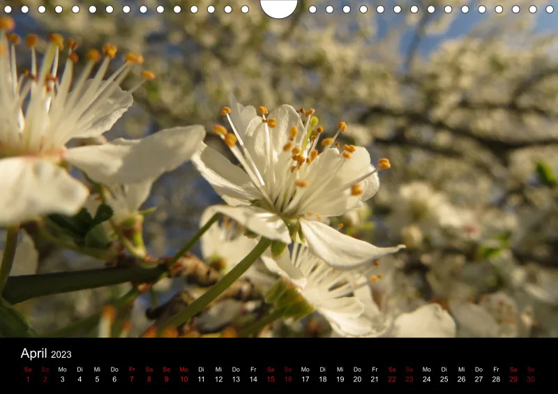 A4 Wandkalender
