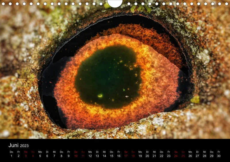 A4 Wandkalender