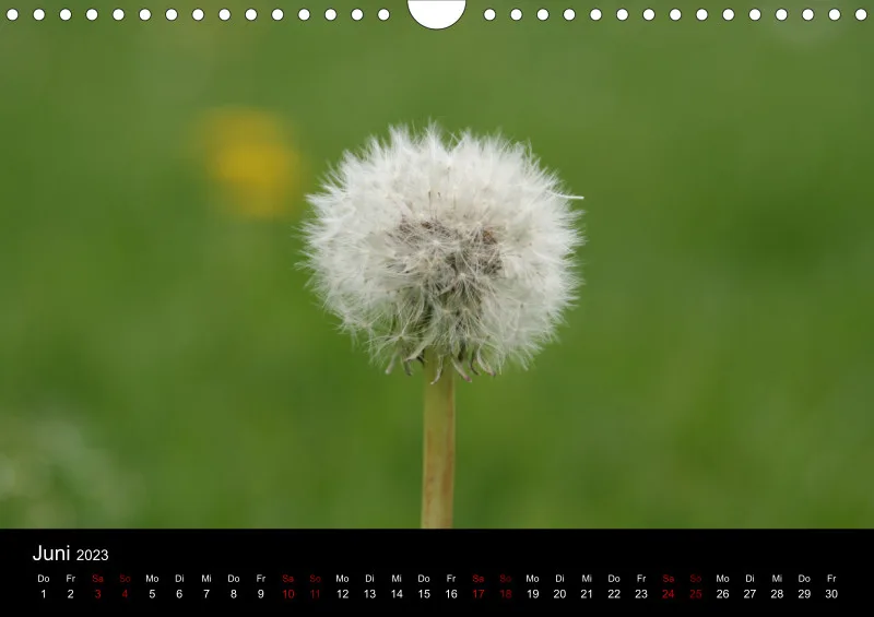 A4 Wandkalender