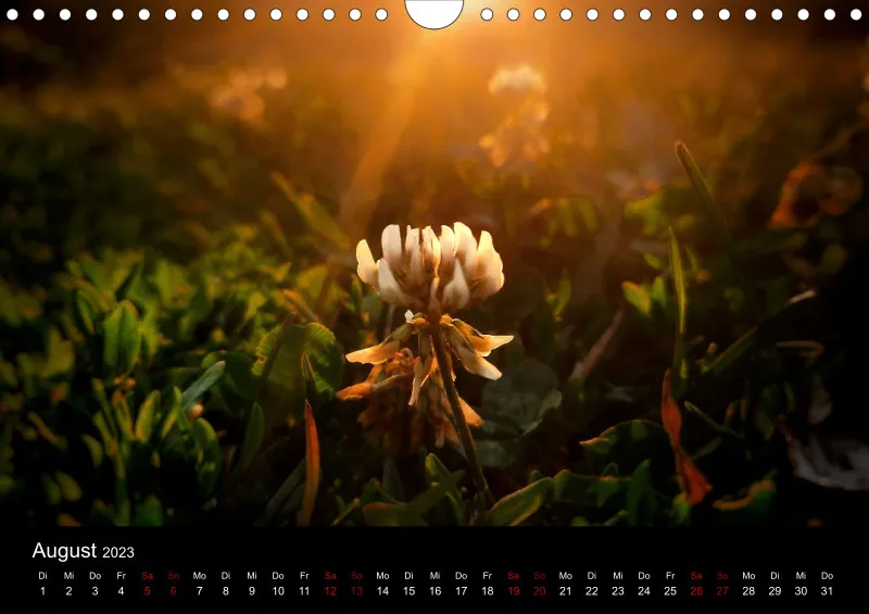 A4 Wandkalender
