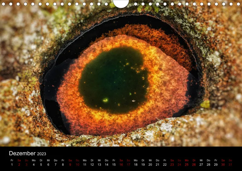 A4 Wandkalender