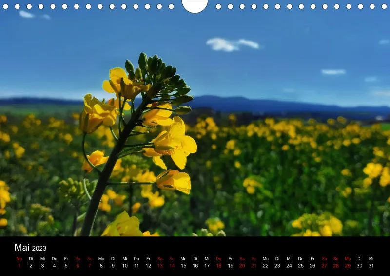 A4 Wandkalender