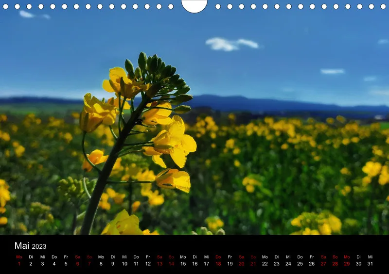 A4 Wandkalender
