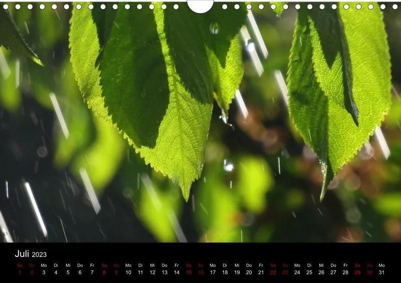 A4 Wandkalender