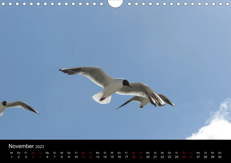 A4 Wandkalender