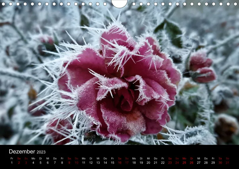 A4 Wandkalender