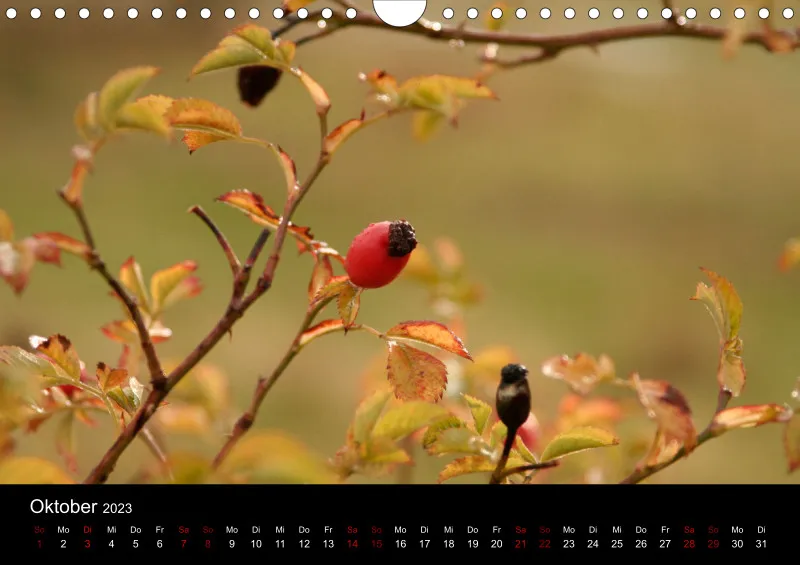 A4 Wandkalender
