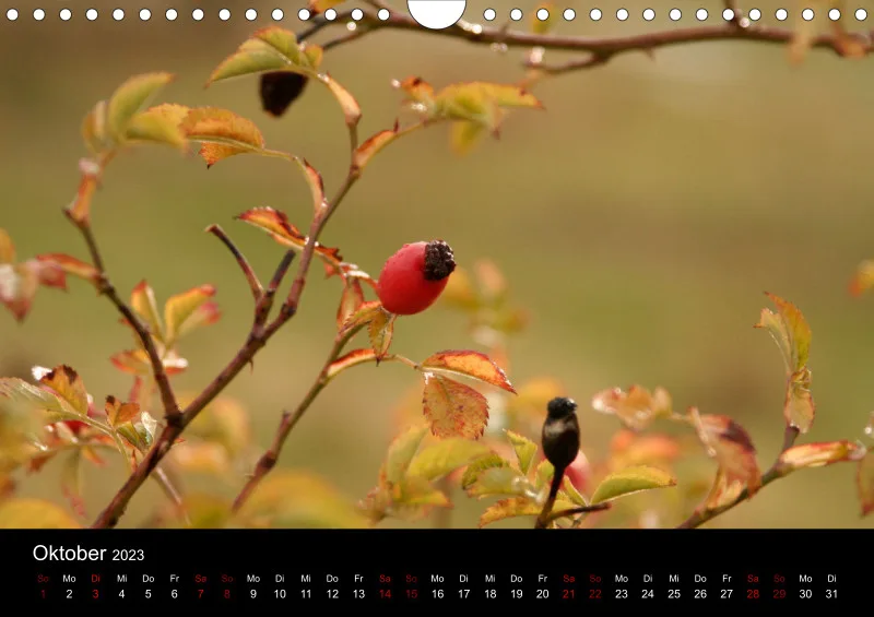 A4 Wandkalender