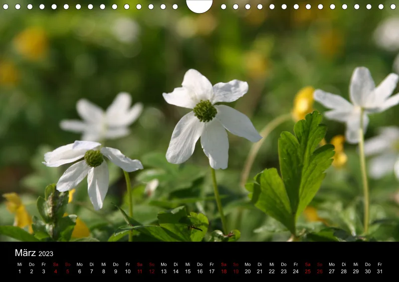 A4 Wandkalender