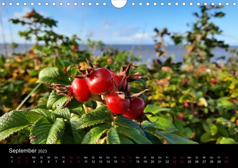 A4 Wandkalender