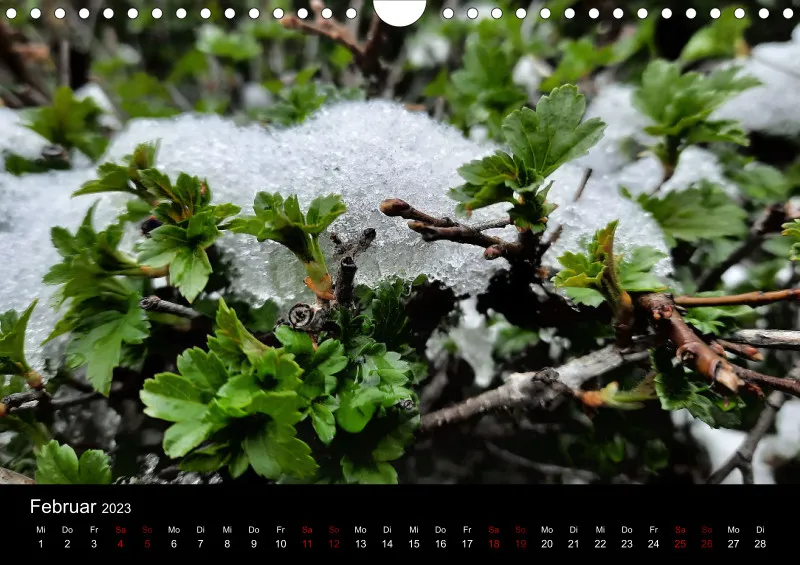 A4 Wandkalender