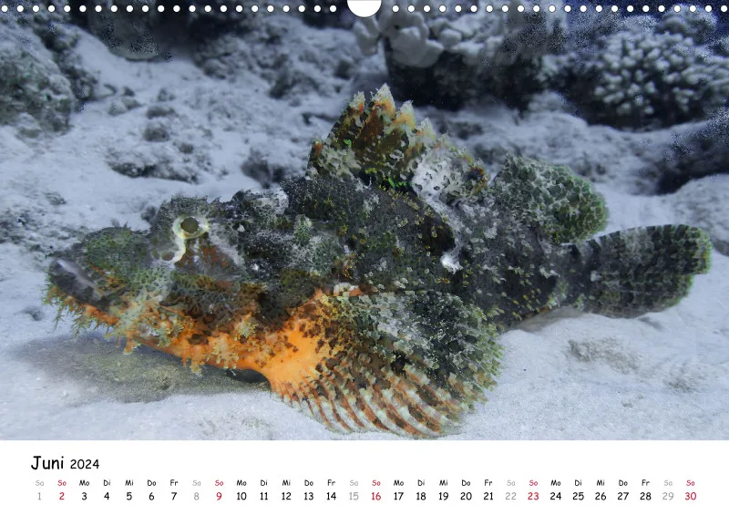 Makadi Bay 2024 Kalender