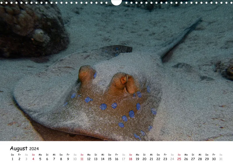 Makadi Bay 2024 Kalender