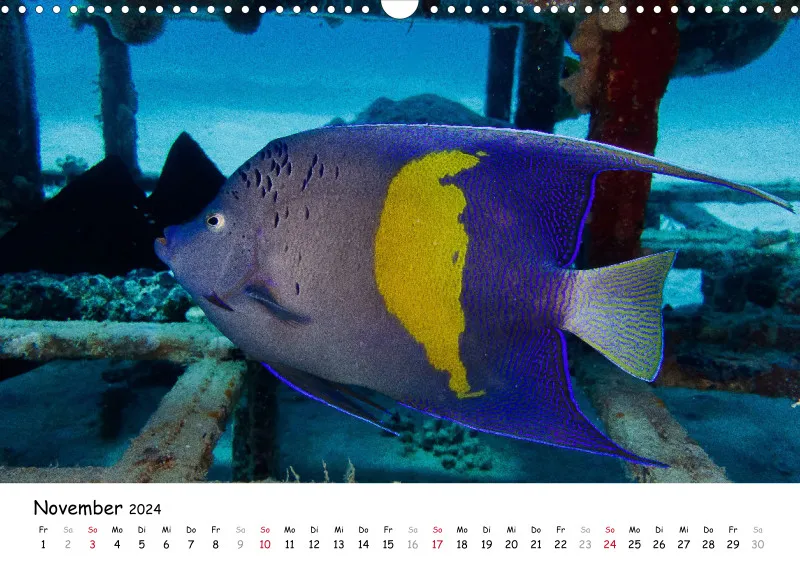 Makadi Bay 2024 Kalender