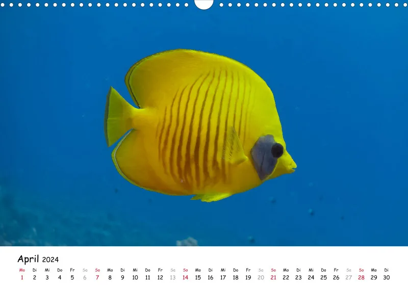 Makadi Bay 2024 Kalender