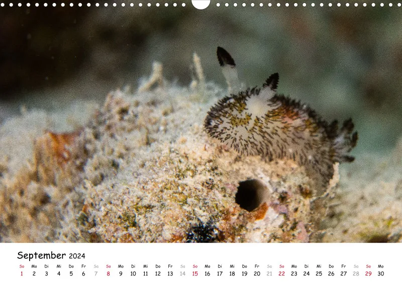 Makadi Bay 2024 Kalender