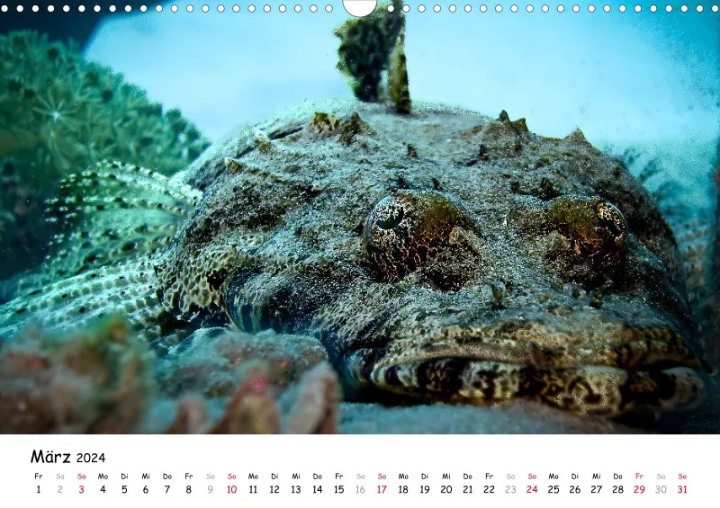 Makadi Bay 2024 Kalender