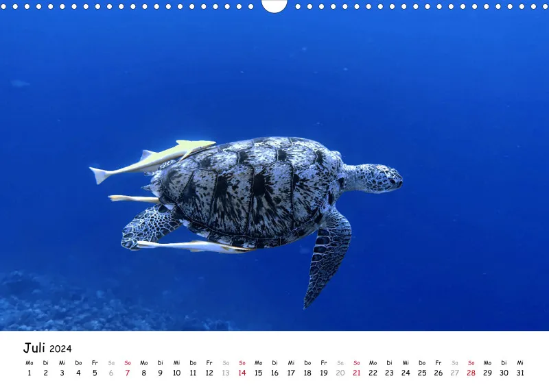 Makadi Bay 2024 Kalender