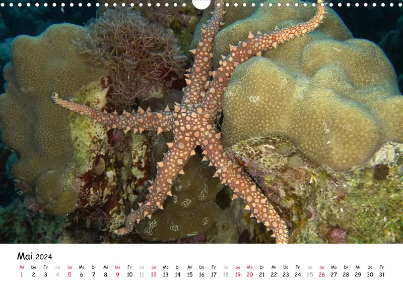 Makadi Bay 2024 Kalender
