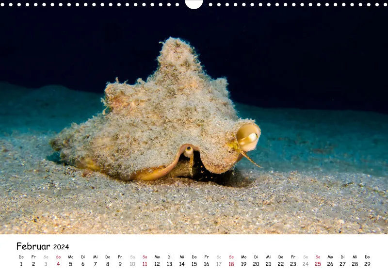 Makadi Bay 2024 Kalender