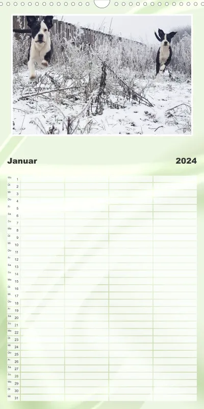 Familienplaner