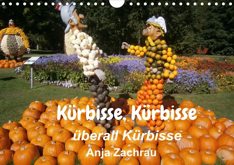 Projekt Nr. 181