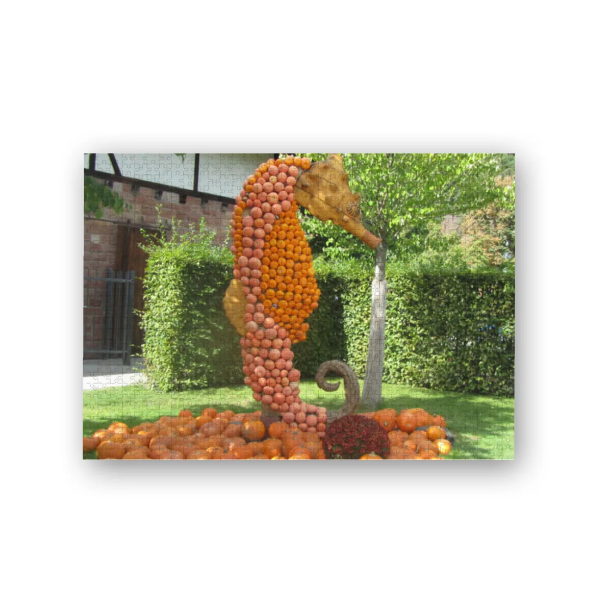 Projekt Nr. 189