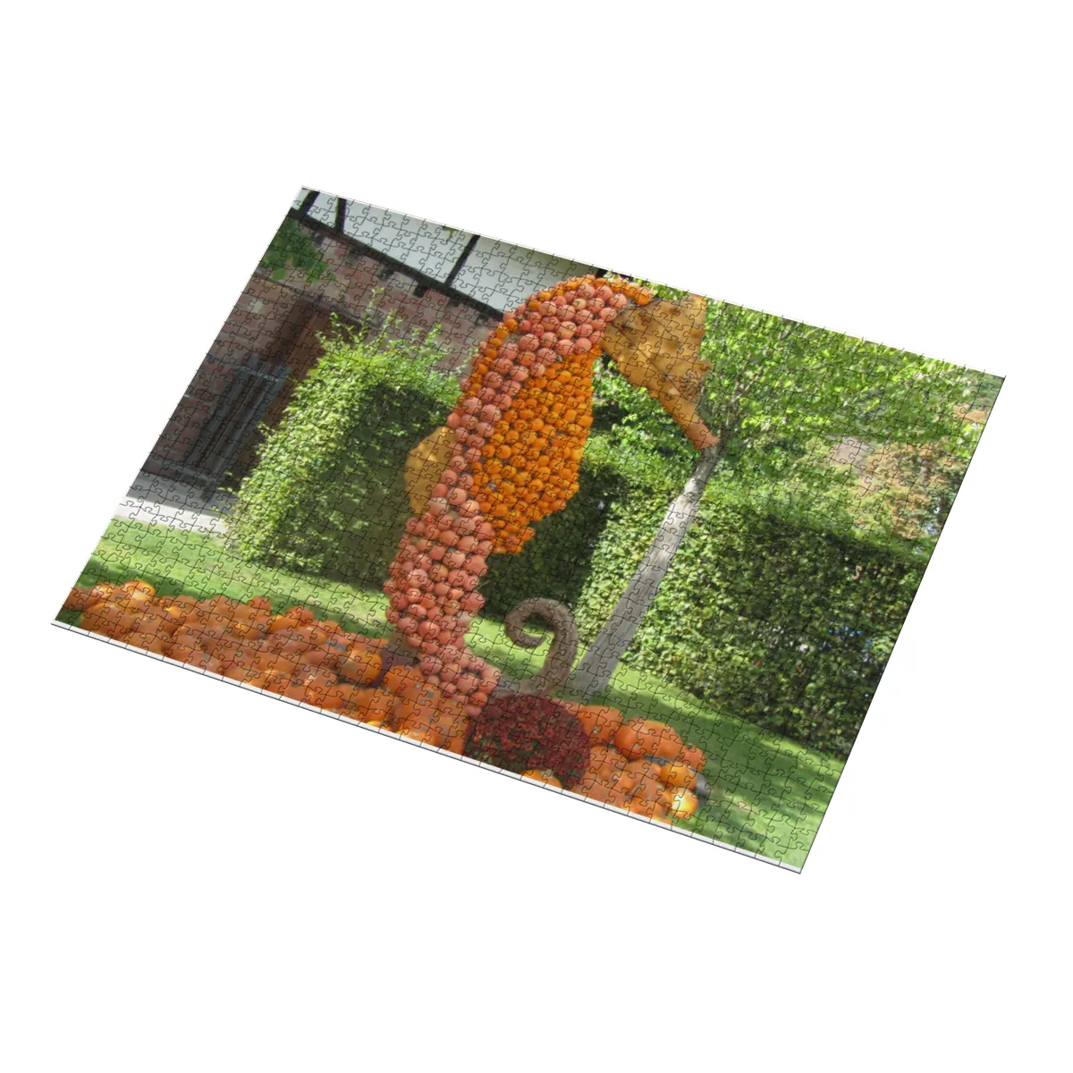 Projekt Nr. 189