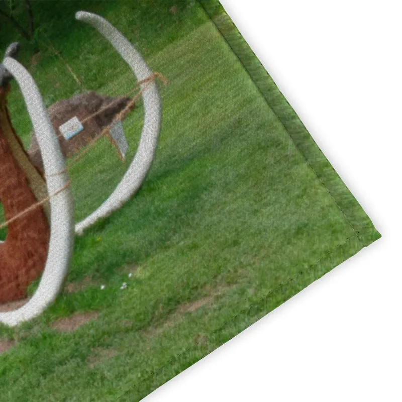 Fußmatte Mammut auf der Gartenschau