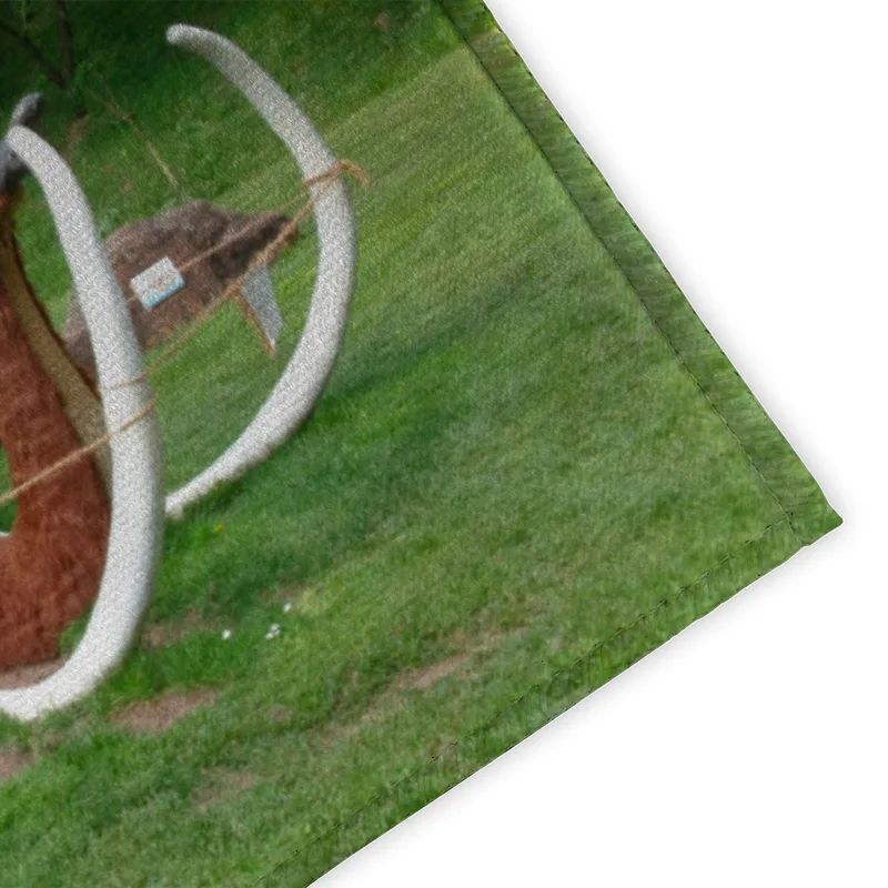 Fußmatte Mammut auf der Gartenschau