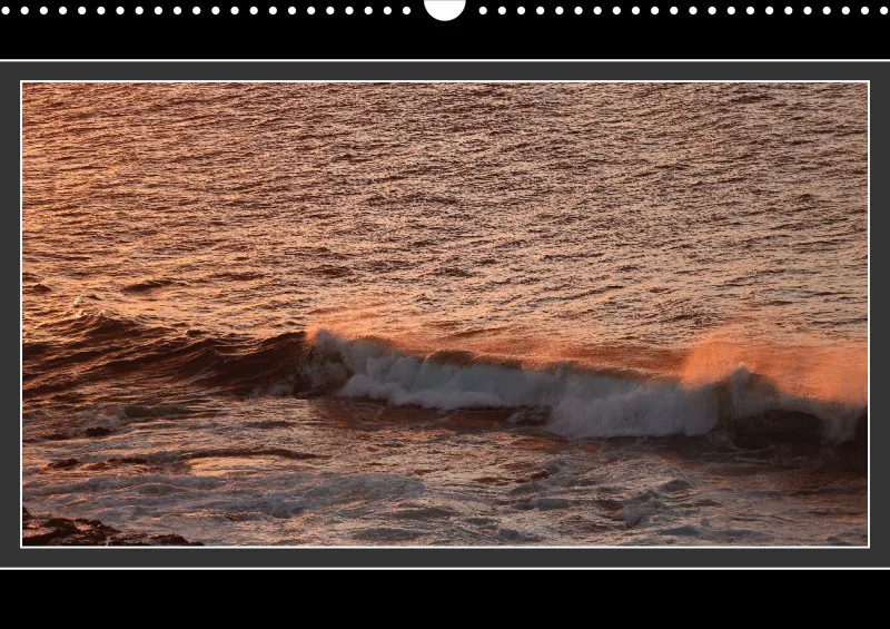 Ocean