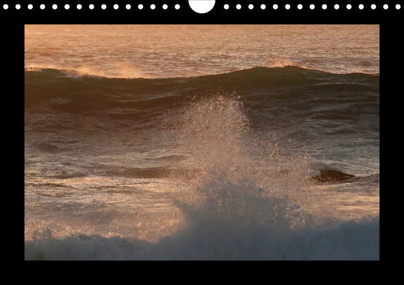 Soulfood Ocean