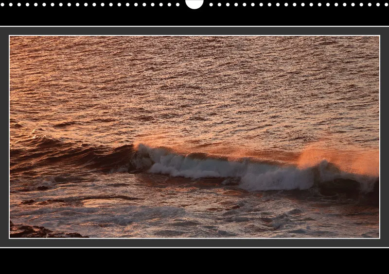 Ocean