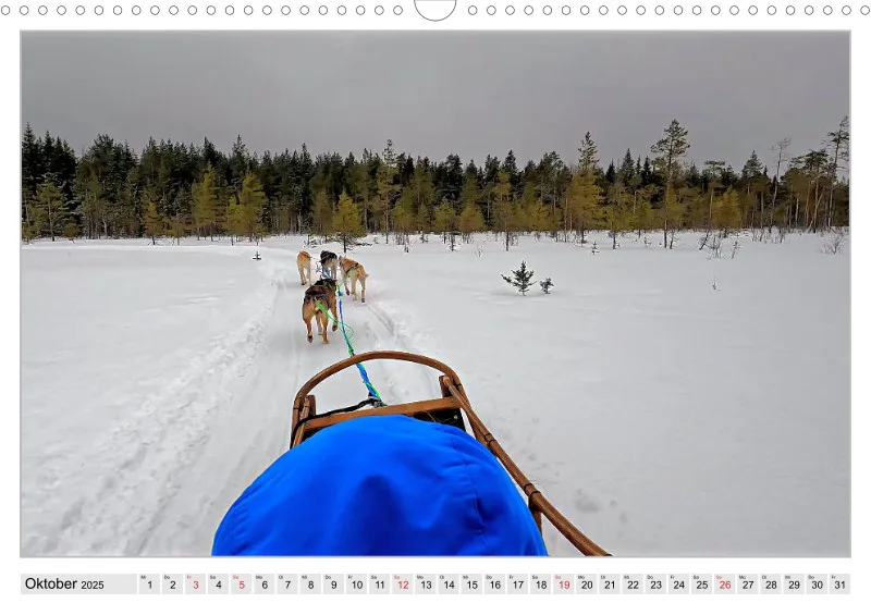 Huskies - Unterwegs mit dem Hundeschlitten.