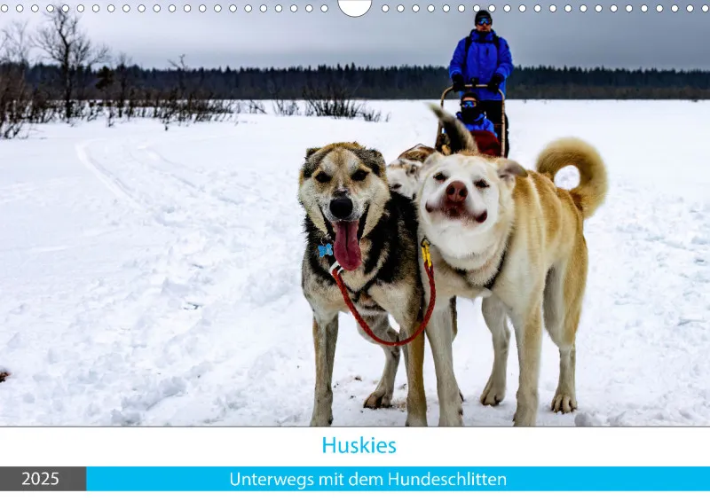 Huskies - Unterwegs mit dem Hundeschlitten.