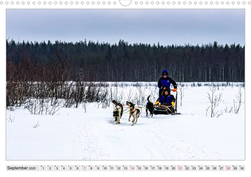 Huskies - Unterwegs mit dem Hundeschlitten.